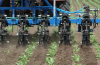 Inter row cultivator with liquid fertilizer application
