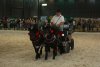 Koně předvedou jezdecké a vozatajské disciplíny