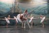 Royal Russian Ballet předvede na výstavišti Labutí jezero