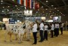 Varied sideline programme will run during National Show of Livestock and ANIMAL TECH fair