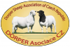 Dorper Asociace představí masné plemeno ovcí