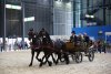 Horses will display carriage racing disciplines, show jumping and traditional farm harnesses