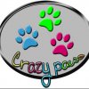 Crazy paws - největší výběr obojků a vodítek