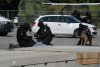 Městská policie Brno předvádí zásah pořádkové jednotky a psovodů 
