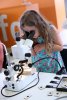 Návštěvníci Minerálů Brno zkoumají skrytou krásu kamenů pod mikroskopem
