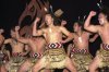 Před tanečním rekordem vás naladí maorský bojový tanec haka