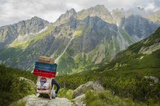 Príroda. Vysoké Tatry a túra na Rysy. Jednou z rarít Vysokých Tatier sú vysokohorskí nosiči. Foto - Jano Štovka
