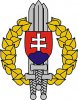 IDET ARENA: The Armed Forces of the Slovak Republic