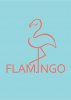 TS FLAMINGO BRNO