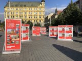 Reference - Dáme na vás – participativní rozpočet pro Brno 2020