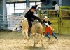 2002 - Rodeo demonstrations