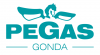 PEGAS-GONDA s.r.o.: Pásové pily na kov