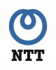 NTT DATA Business Solutions: Oceňovaný SAP Platinum Partner