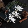 NATURE IN DROP představí kolekci vánočních šperků