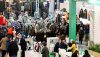 A selection of exhibitors at the National Gamekeeping Show