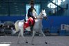 Auf der Internationalen Messe für Tierhaltung im April in Brünn werden bei Züchterschauen und Rahmenveranstaltungen 24 Pferderassen vorgestellt.