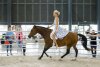 Pferde auf der Nationalen Ausstellung für Tierzucht 2023